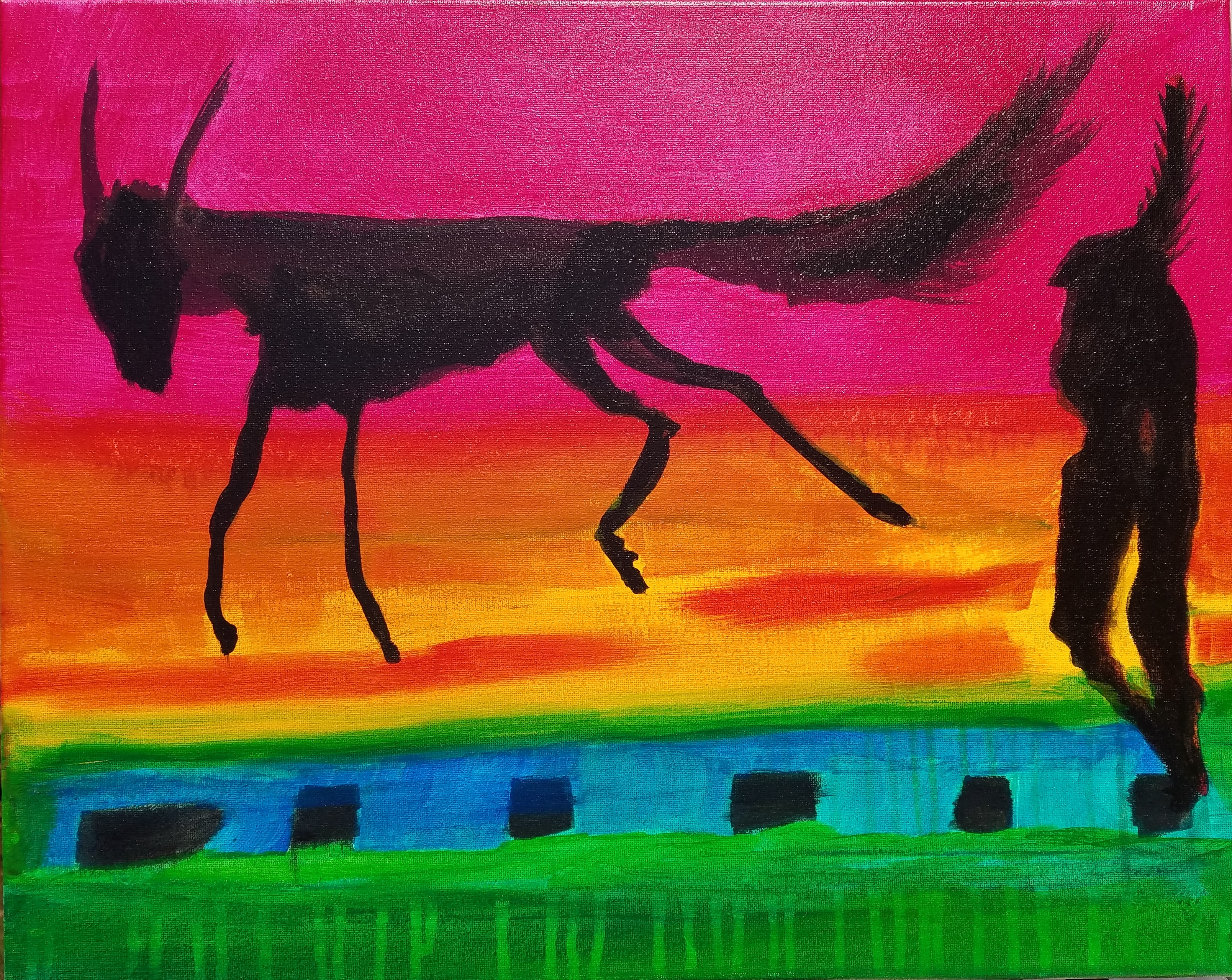 Black Coyote