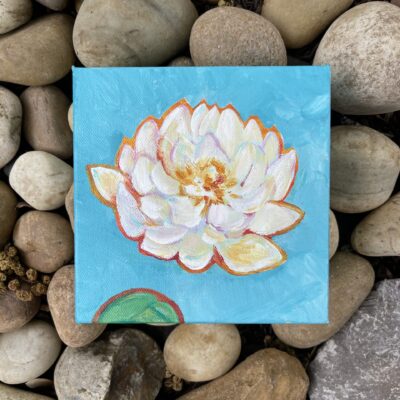 White Lotus