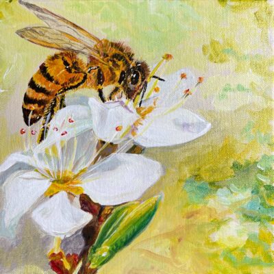 Bee in Fruit Tree