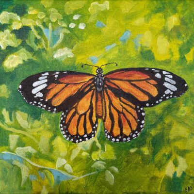 Monarch in the Middle